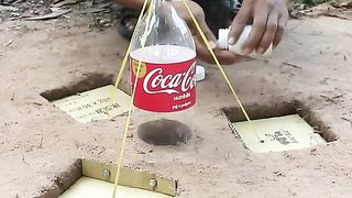 Underground Quail Trap