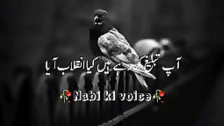 Mery Nabi Akram ﷺ ne farmaya __ muhammad ajmal raza qadri???? @mananblackscree_144p. plz subscribe and watch my video