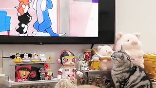 tom and jerry لا تنسى دعمي بهدية