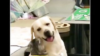 لا تنسى دعمي بهدية 2