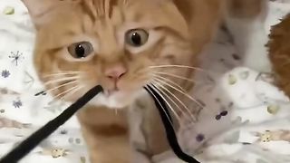 لا تنسى دعمي بهدية 3