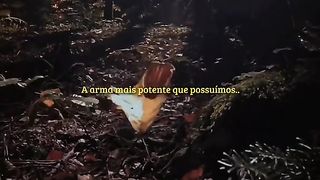 A Arma mais potente é a fé