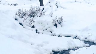 Neelam Vallet During Snowfall:)