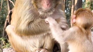 mother cannot breastfeed