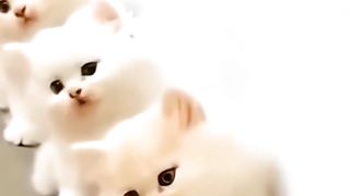 해외선물세라TV the most beautiful, my dear #shorts