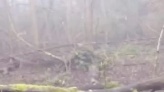 Charge d’un énorme Sanglier ! Big Boar attack !