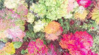 calm and relaxing instrumental music