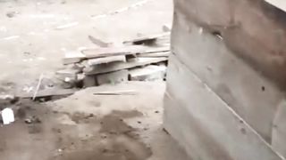 Begini resikonya jika buat kolam tanpa drainase❗ Kontrol amonia saja susah