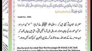 اسلامی معلومات Like share follow 214
