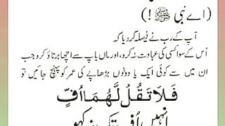 اسلامی معلومات Like share follow 217