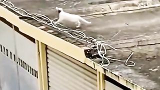 Video qats