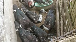 Makan bersama????