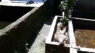 Kolam beton dibawah pohon itu cocok, agar tidak terlalu panas