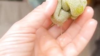 The most delicious fruits
