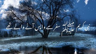 Nabi kreem ﷺ nay Arshad farmaya | peerajmal raza qadri | emotional status| status hadees