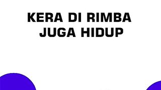 Nasehat