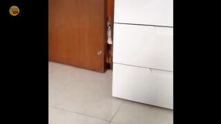 Bayi hewan yang lucu