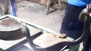 Culinary King Cobra snake satay