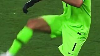 Fifa world funny moments