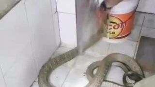 ???? É ISSO NÃO PODE SER REAL ????