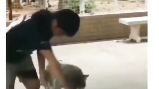 O agua gelada