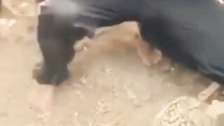 ???? HOMEM TOCA EM OBJETO EGÍPCIO E FOI POSSUIDO ????