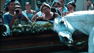 Caballo Apareció En el Funeral de su Dueño, pero la Gente ve Algo más que se les Rompe El Corazón