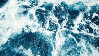 10 Criaturas Mais Assutadoras dos Oceanos que você nunca vai querer encontrar!