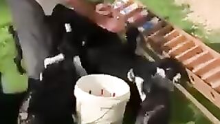 فديت العنااااية