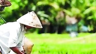 Simbok