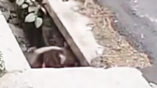 funny video compilation #part 1