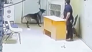 مشهد بقطع الانفاس