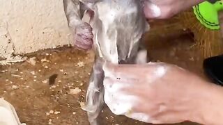 Bath time ????????????