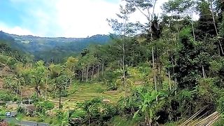 rural hometown road