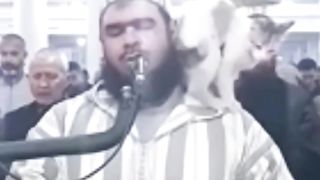 Кот ЗАПРЫГНУЛ на мужчину во время МОЛИТВЫ #trending #new #top #tiktok