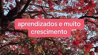 Aprendizado e muito crescimento!