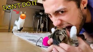 Cats Attacking People Compilation | Cat Slapping Their Owner | Funny Cat Videos #91 2