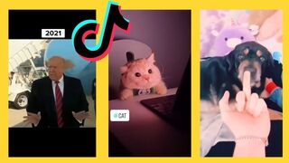 compilation of tiktok funny animals and people viral