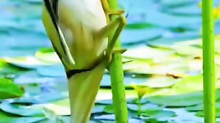 The powerful attack