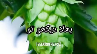 Verse 62 -72 ll Sura Alwaqia
