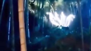 scary real footages found strange animals