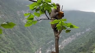eating at scary heights