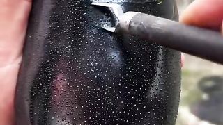 Black mango
