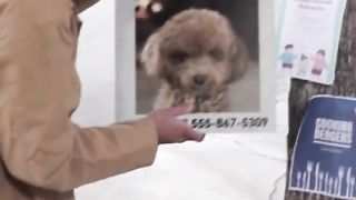 I Rescued An Abandoned Dog