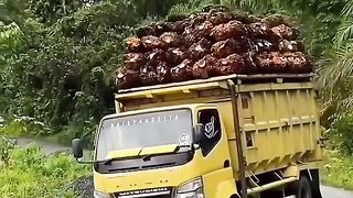 pelan pelan pak supir