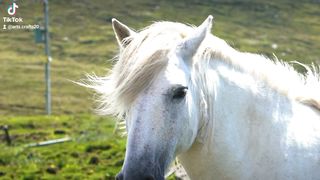 Beauty of nature 43