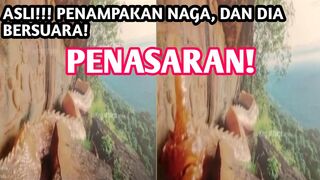 Video Viral! Penampakan Naga terekam Kamera! Percaya atau Tidak