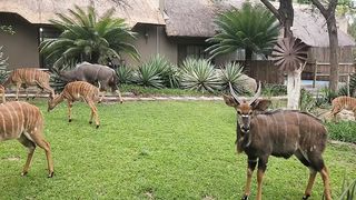 Book your bush breakaway now !!!