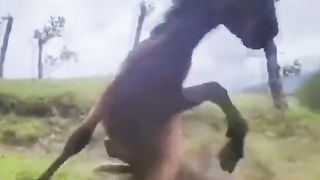 il fait peur ???? a un cheval ????