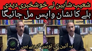 Shoaib Shaheen gave good news... the bat mark will be returned... they are insulting the constitution.